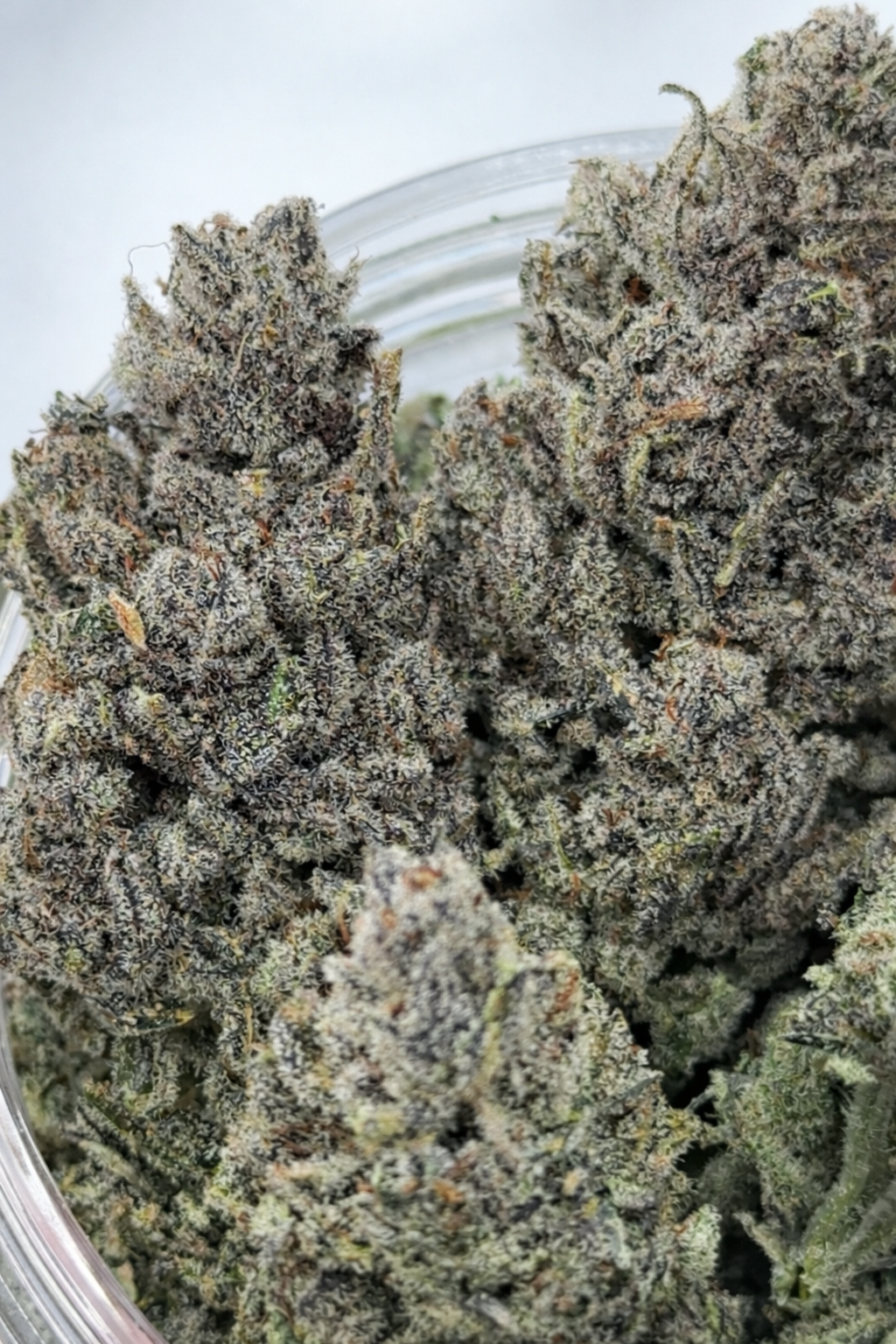 2nd round of Pre order: Goop Goop Goop (March 2026)