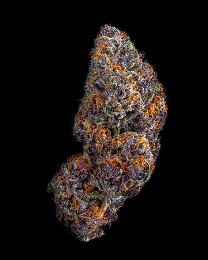 Black Cherry Cheesecake