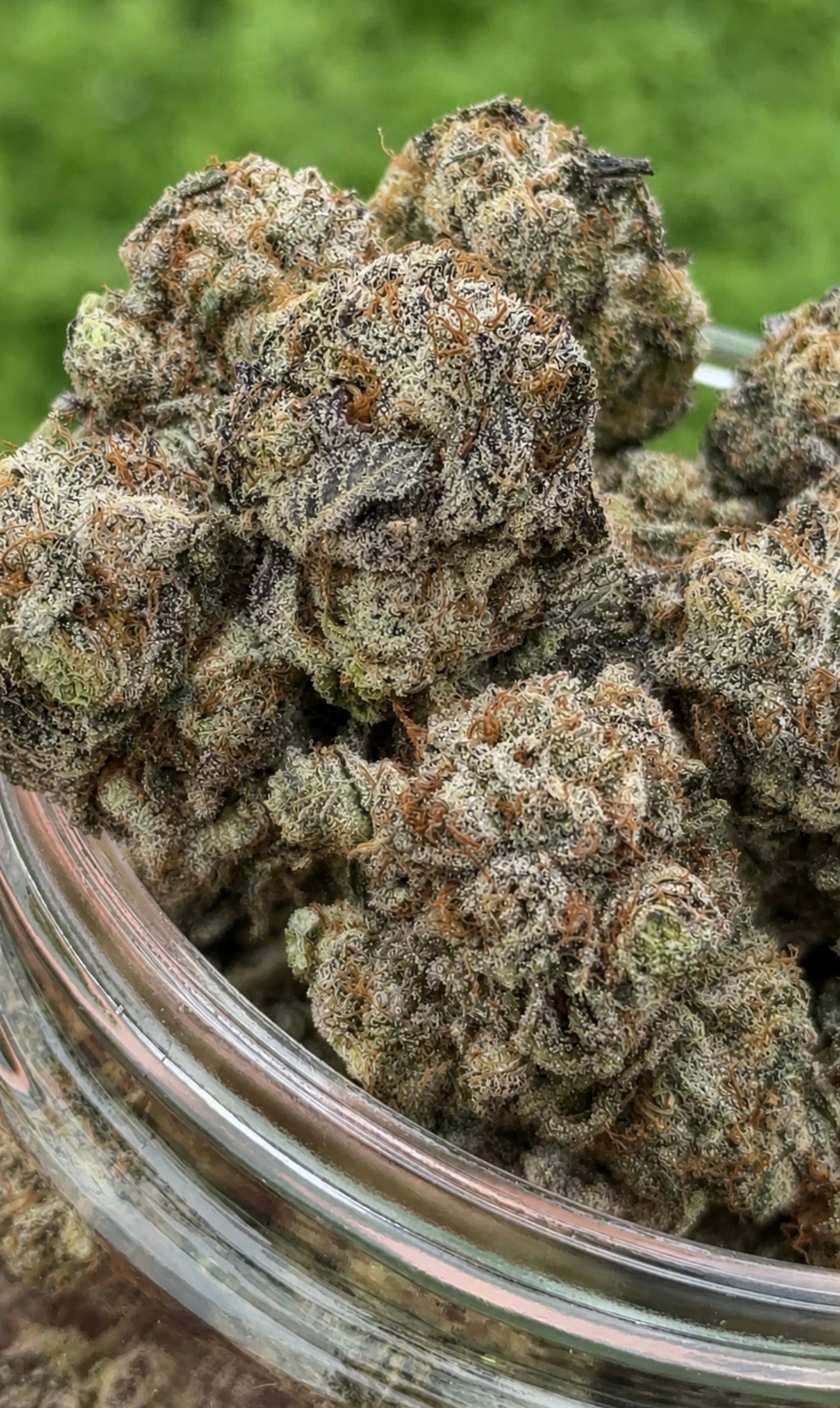 Black beauty leaf dr cut