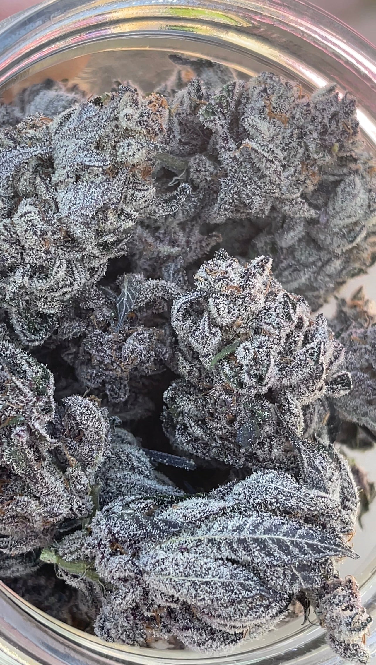Super Buff Cherry #26