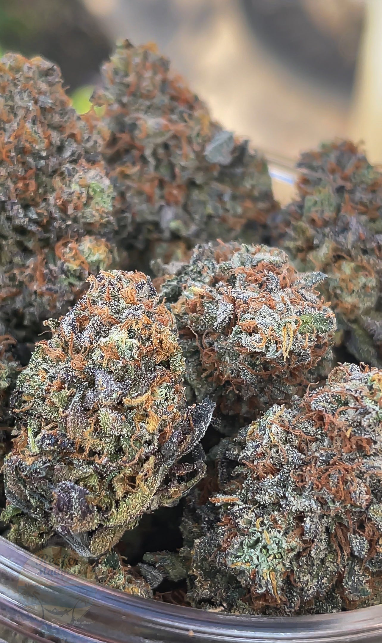 Tea Time (reefermattness pheno)