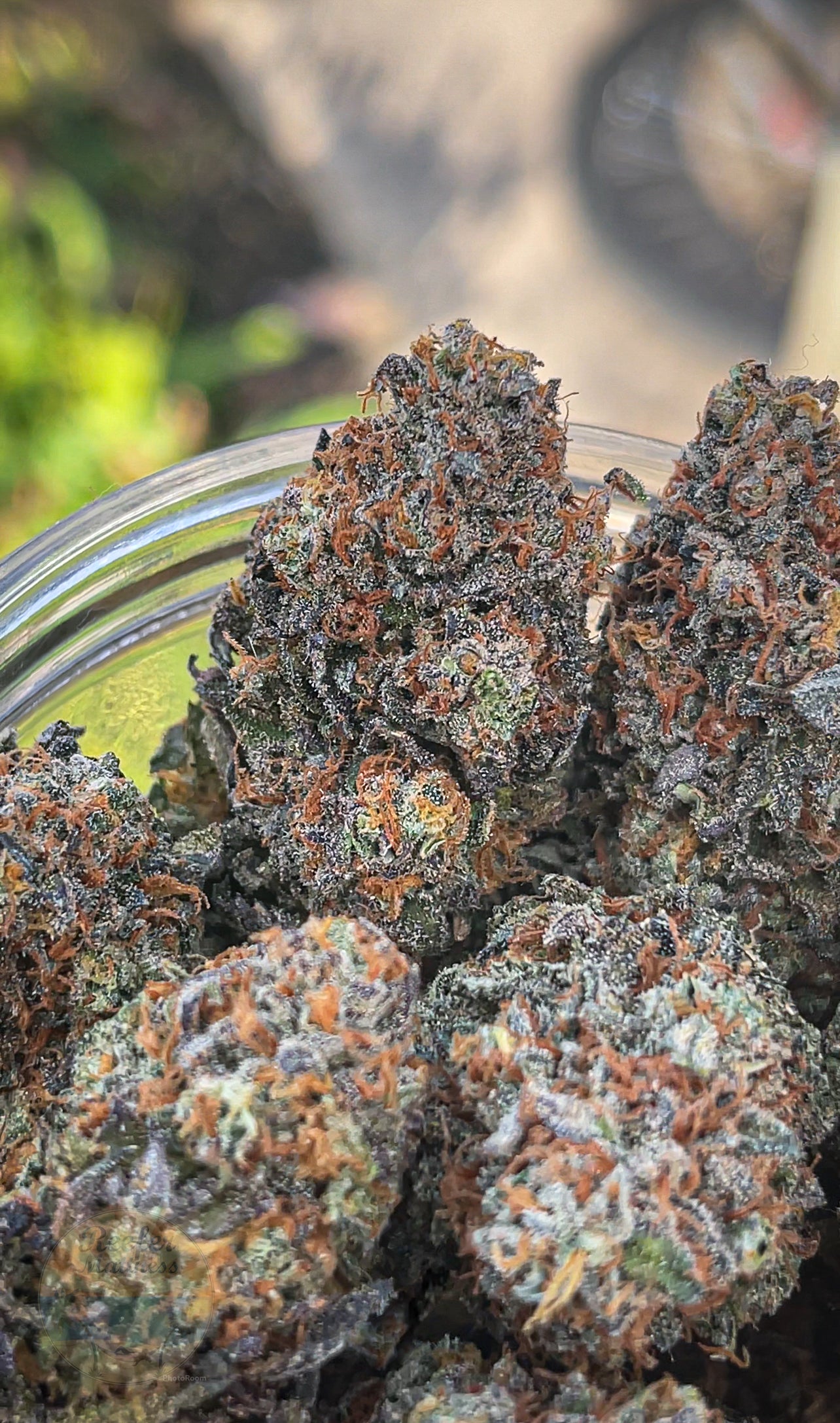 Tea Time (reefermattness pheno)