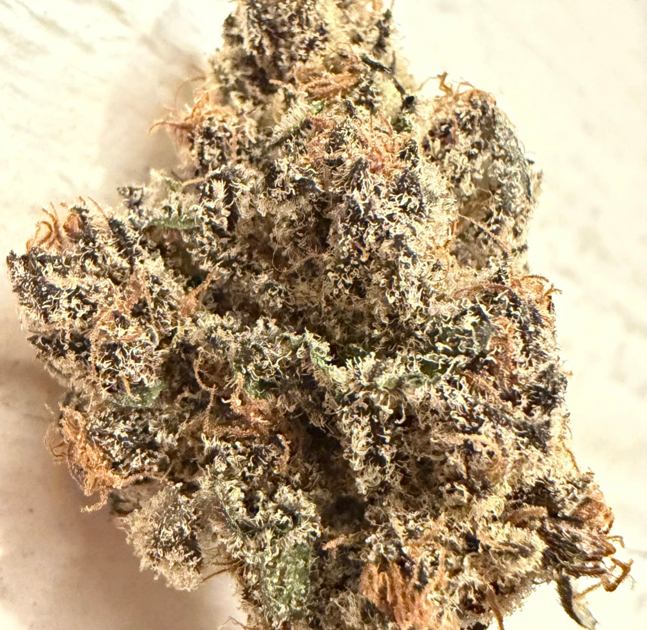 Black beauty leaf dr cut