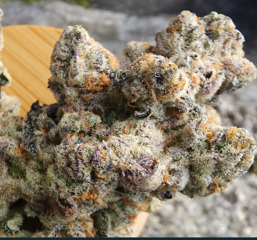 Buzz #14 (Platnum lemon cherry gelato x U.F.O)