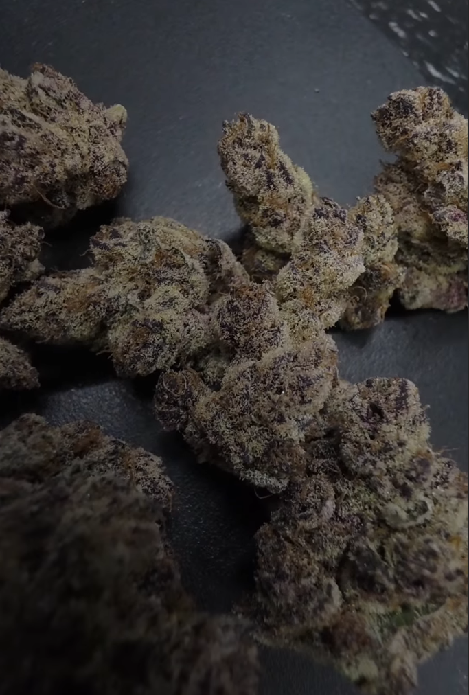 Trich beast 18-9 (mainely cut)