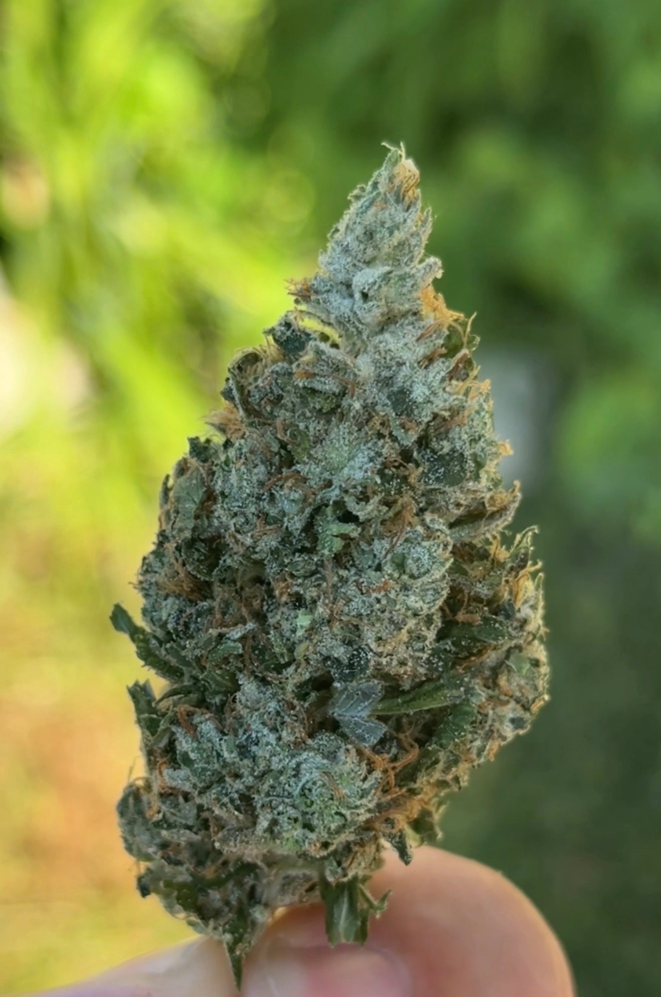 Gas Cap (ReeferMattness cut)