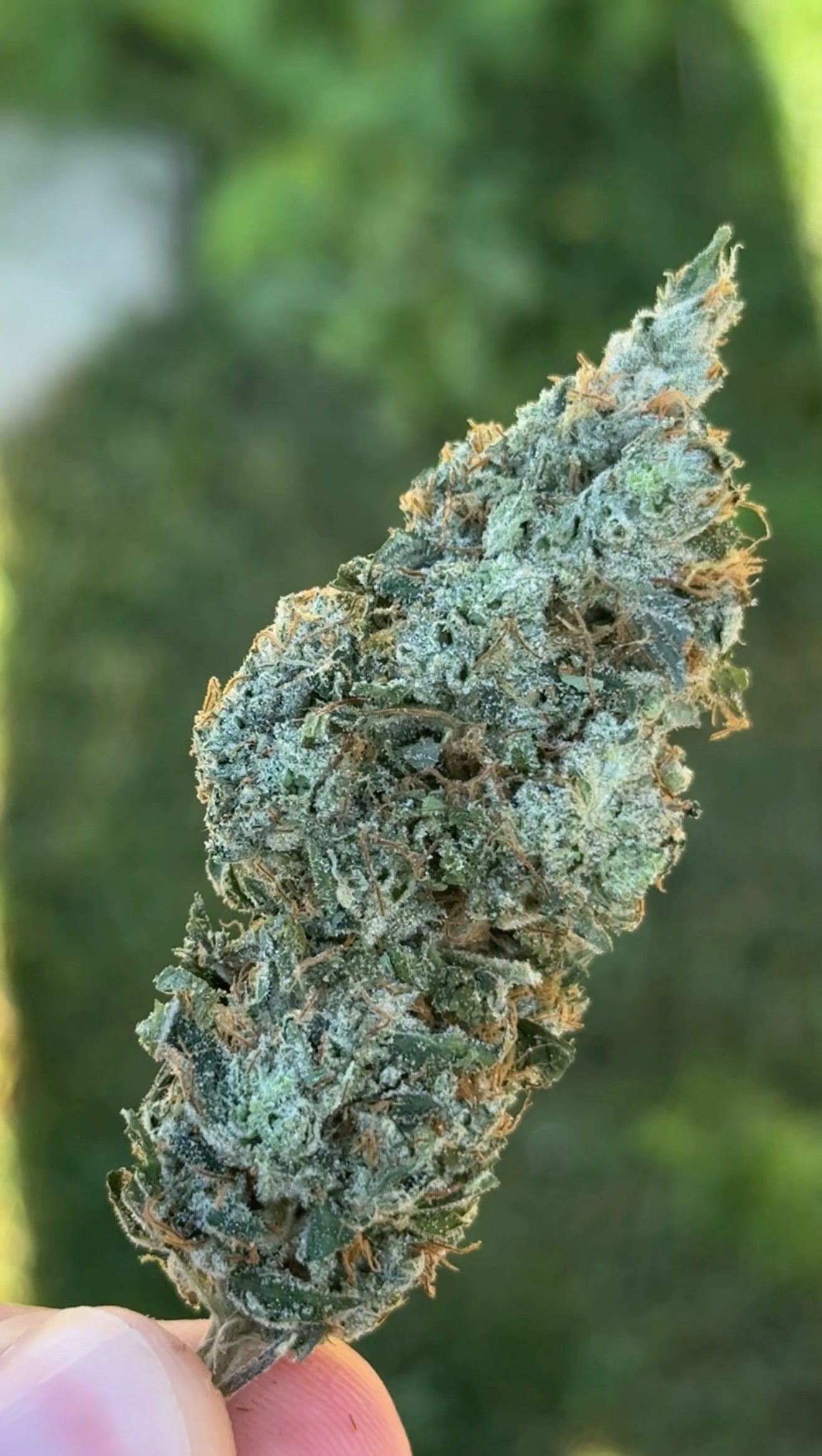 Gas Cap (ReeferMattness cut)